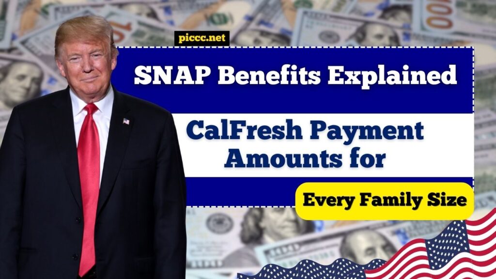 SNAP Benefits Explained: CalFresh Payment Amounts for Every Family Size