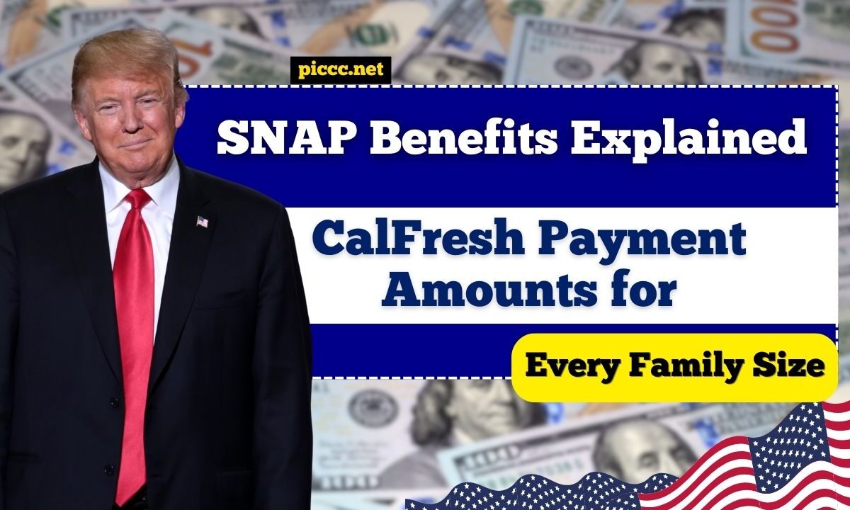 SNAP Benefits Explained: CalFresh Payment Amounts for Every Family Size